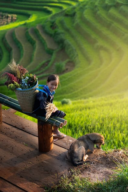 Ảnh phong cảnh và đời sống Việt Nam