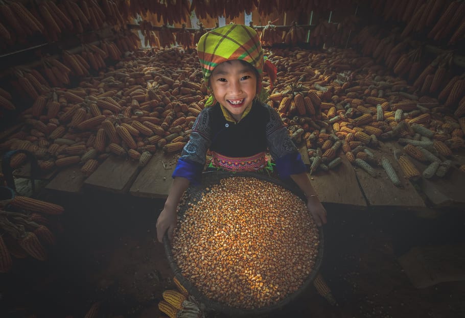 Bé gái H’Mông cười bên sàng ngô trong nhà kho ngô vùng cao Việt Nam