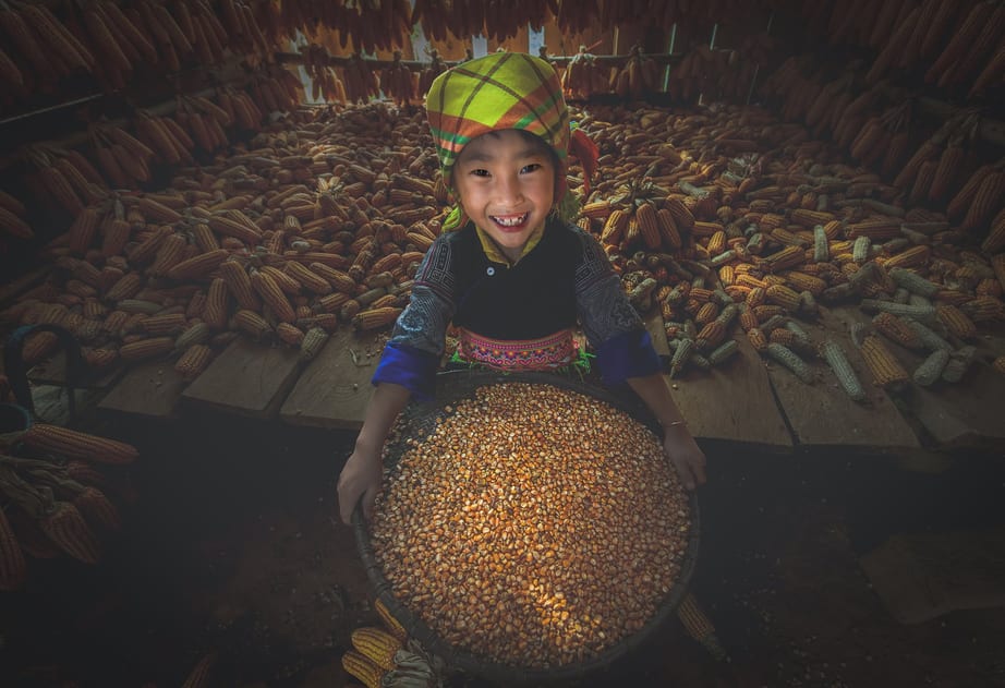 Bé gái H’Mông cười bên sàng ngô trong nhà kho ngô vùng cao Việt Nam
