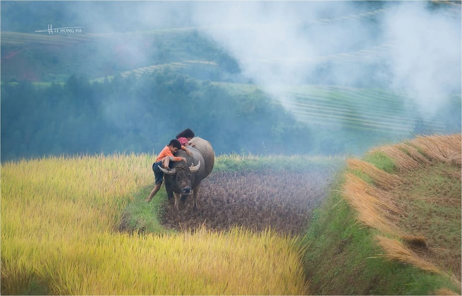 Ảnh phong cảnh và đời sống Việt Nam